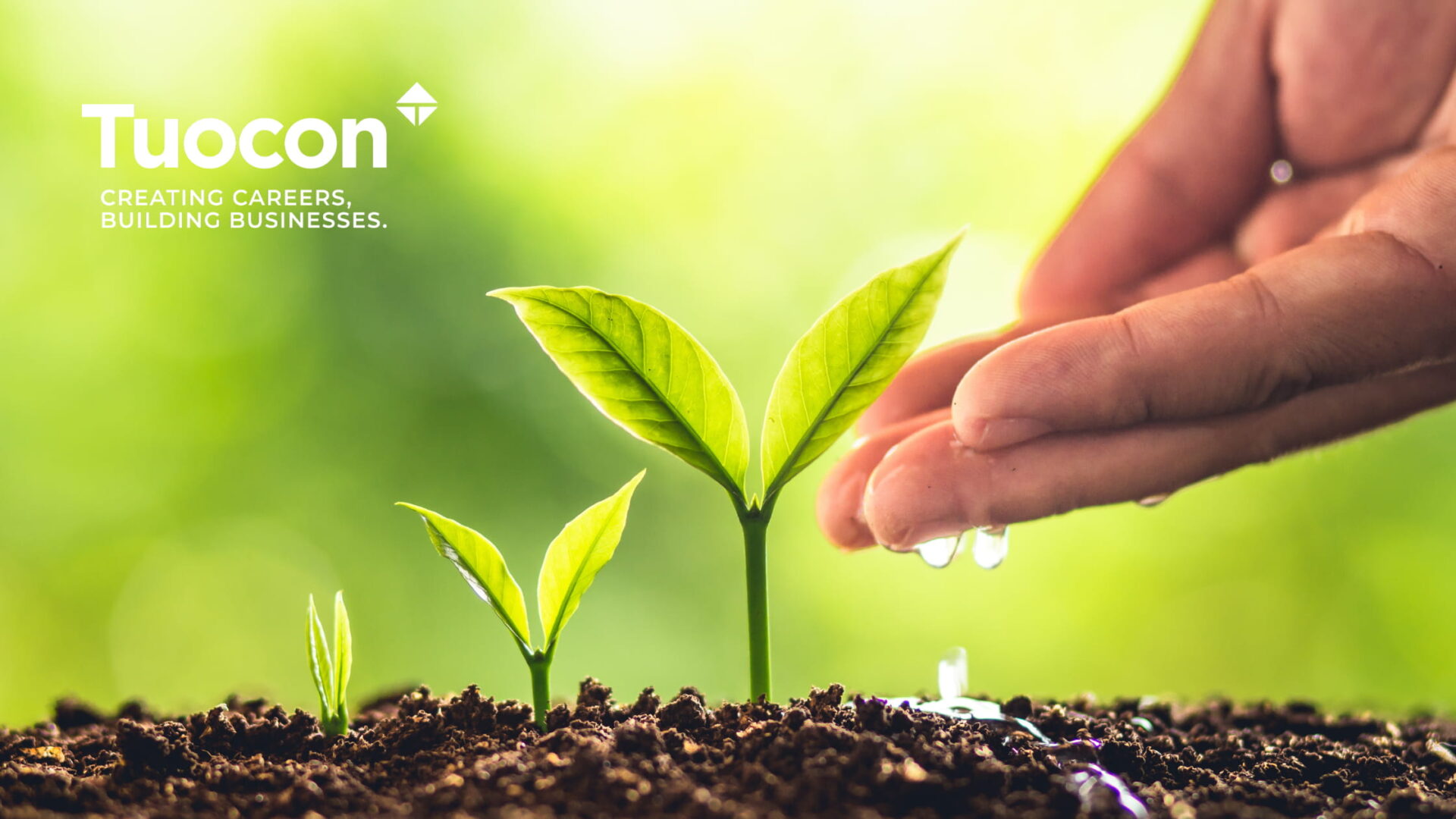 Ihmiset ylittämässä katua Helsingissä.